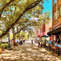 Self-guided Tours & Rentals