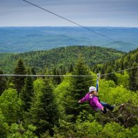 Ziplines