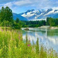 Full-day Tours