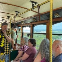 Trolley Tours