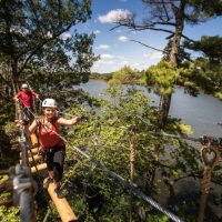 Ziplines