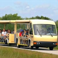 Trolley Tours