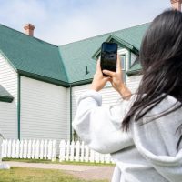 Half-day Tours