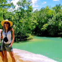 Bus & Minivan Tours