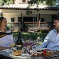 Wine Tasting & Winery Tours