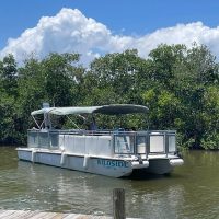 Catamaran Cruises