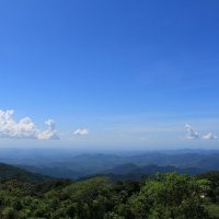 Coffee & Tea Tours