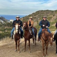 Holiday & Seasonal Tours