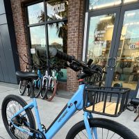 Bike Rentals
