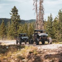 Day Trips & Excursions