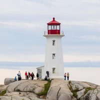 Volunteer Tours