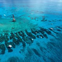 Swim with Dolphins