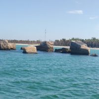 Full-day Tours
