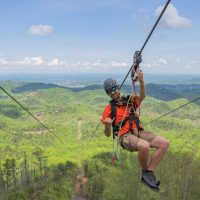 Ziplines